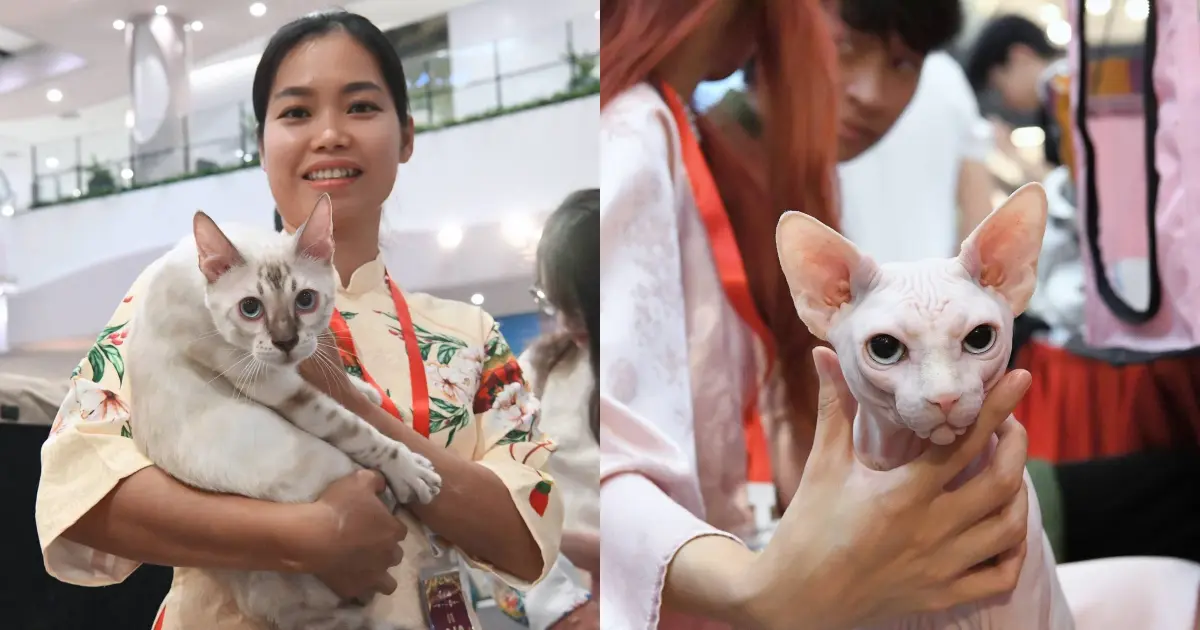 Nội dung chính của sự kiện